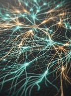 Bosque Neuronal