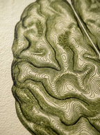 Topografía del Pensamiento