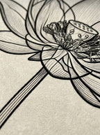 Radiografía en Flor