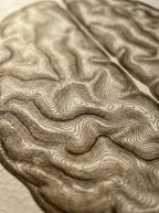 Topografía del Pensamiento
