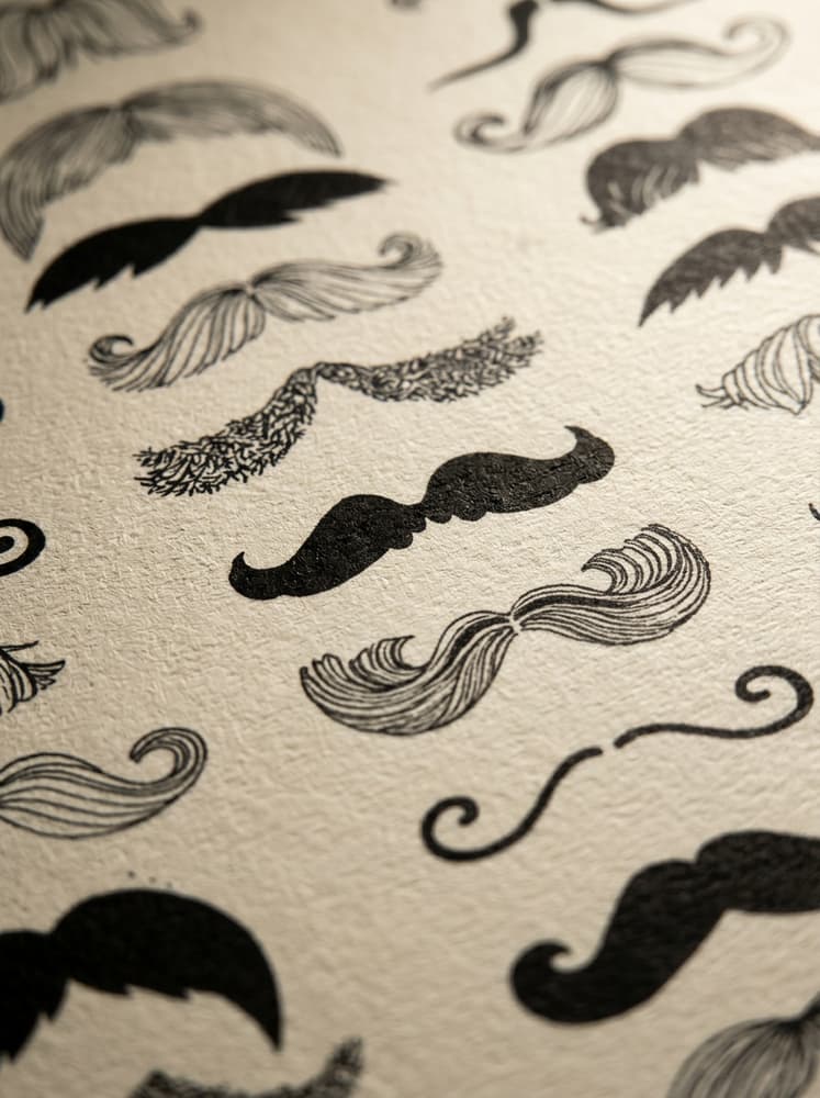 Bigotes