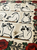 Yoga Cat