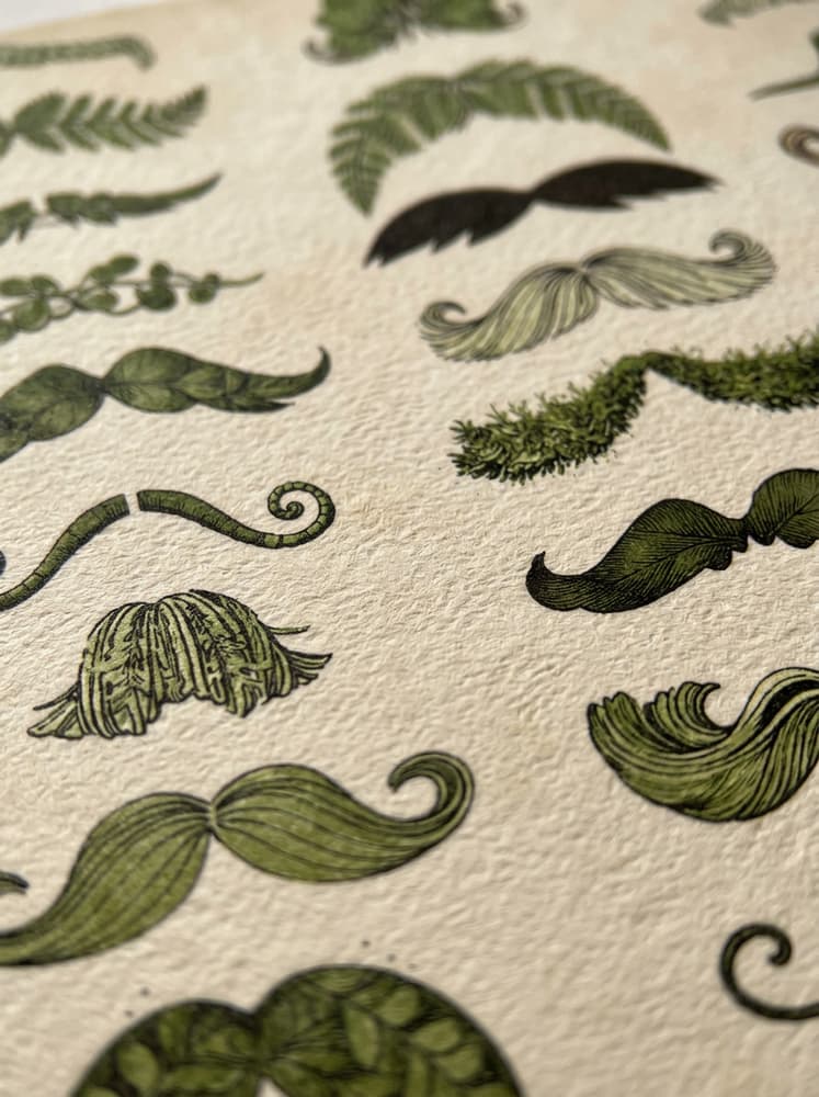 Bigotes