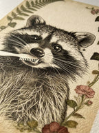 Mapache