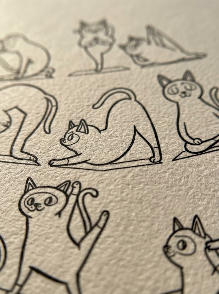 Yoga Cat