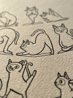 Yoga Cat