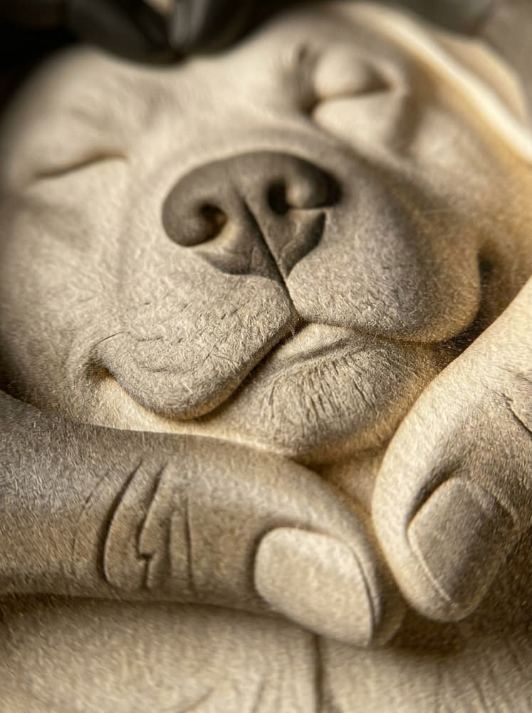 Love Dog