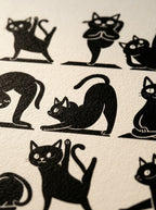 Yoga Cat