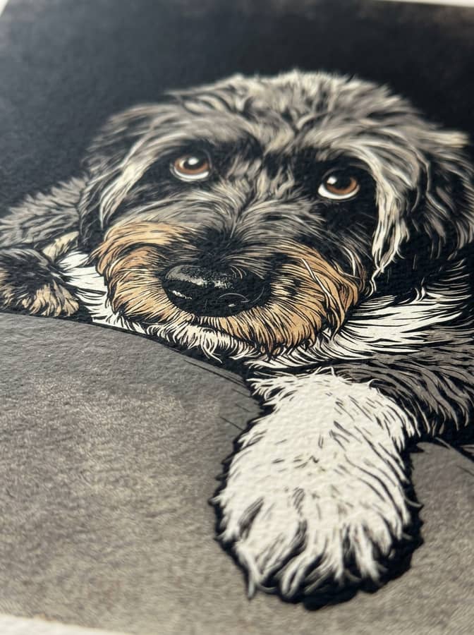 Mirada Perruna