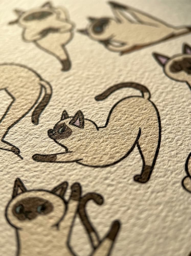 Yoga Cat