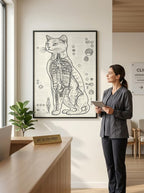 The cat