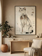 The cat