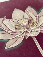 Radiografía en Flor