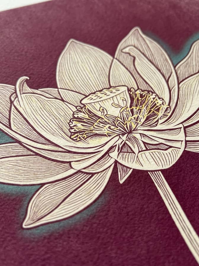 Radiografía en Flor