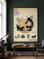 Animals Yoga