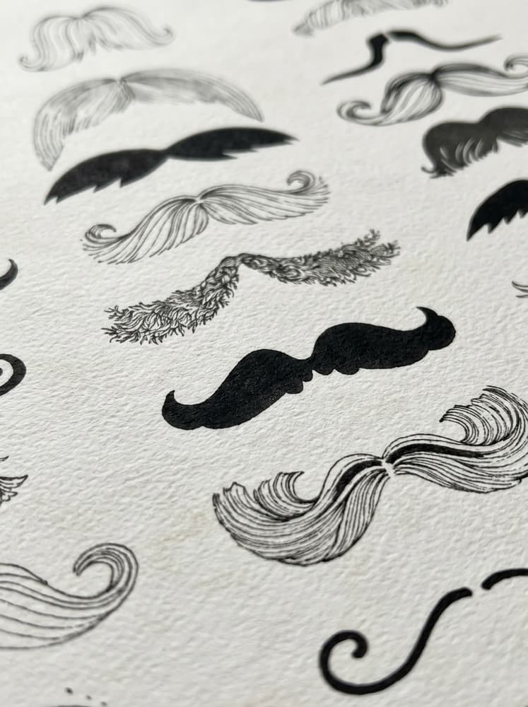 Bigotes