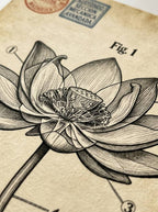 Radiografía en Flor