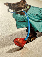 El doctor amor