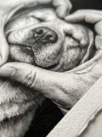 Love Dog