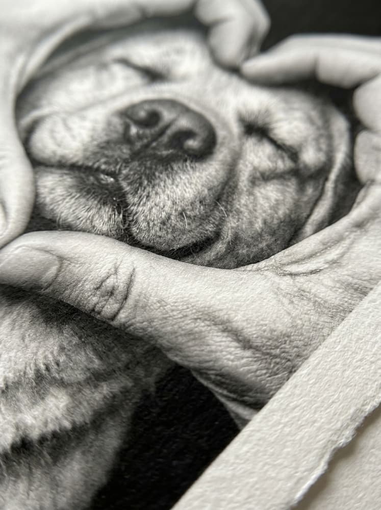 Love Dog