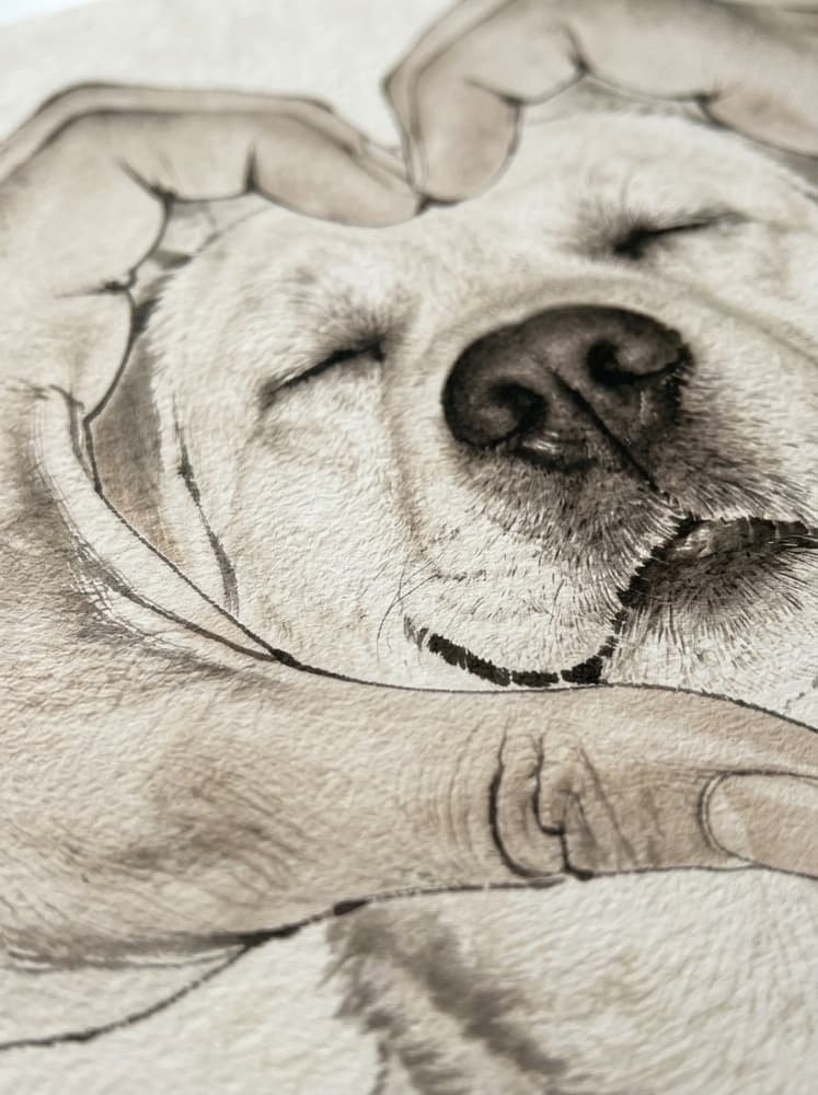 Love Dog