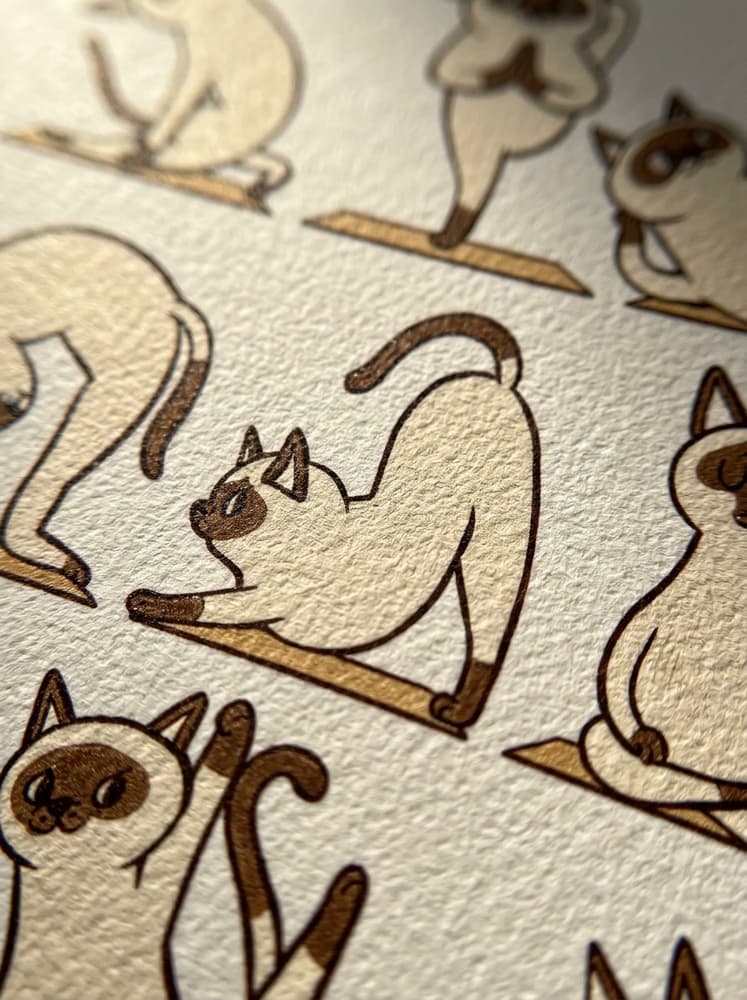 Yoga Cat