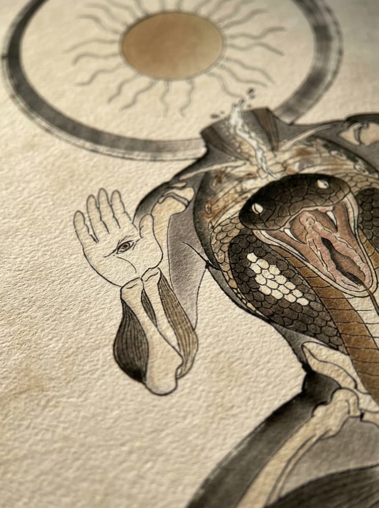 Snake