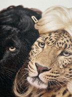 Divas