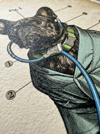 El doctor amor
