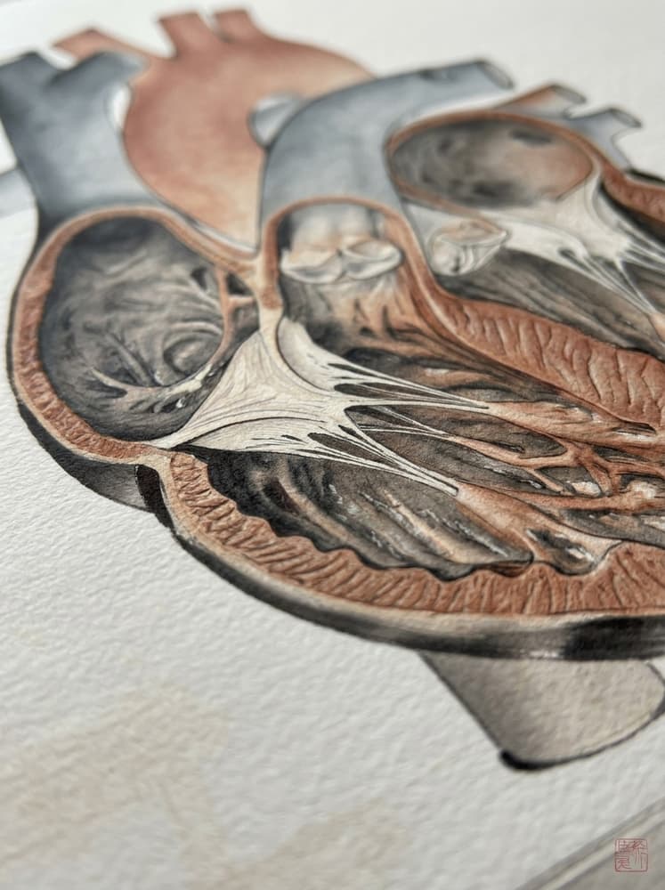 El Gran Corazon