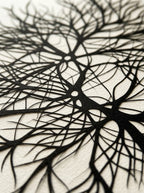 Bosque Neuronal