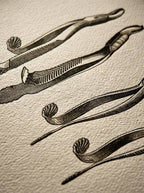 Herramientas