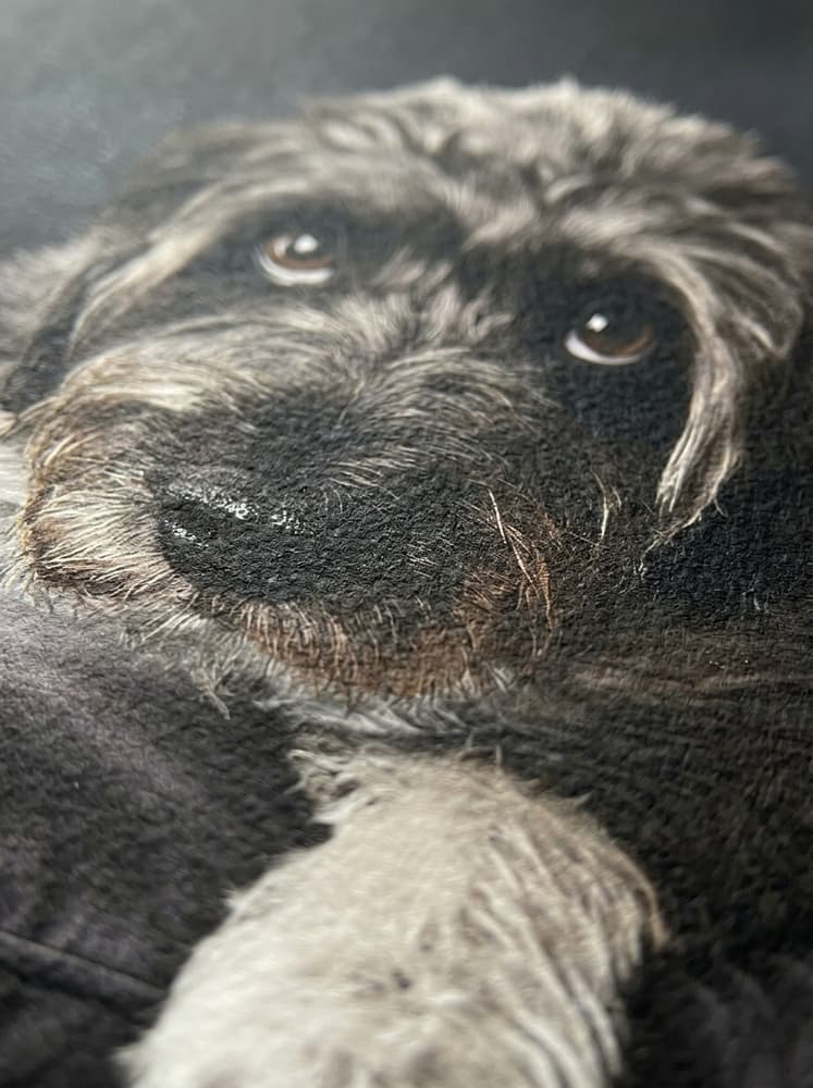 Mirada Perruna