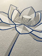 Radiografía en Flor