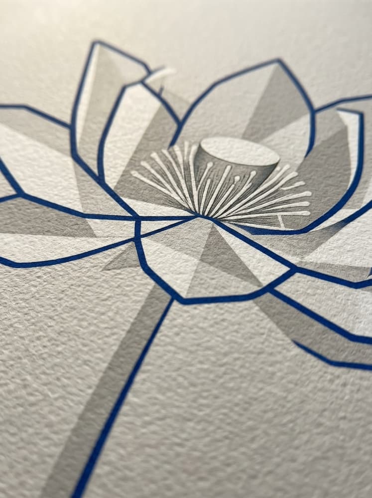 Radiografía en Flor