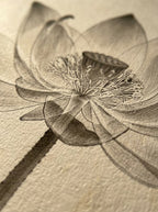 Radiografía en Flor