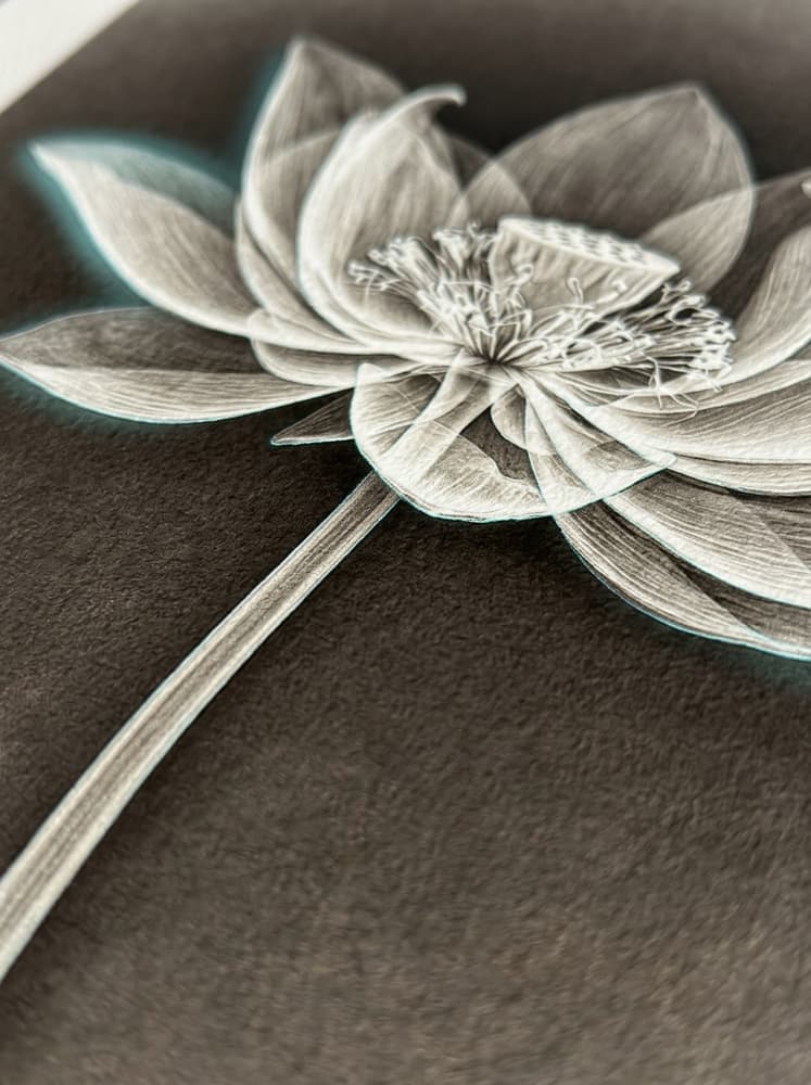 Radiografía en Flor
