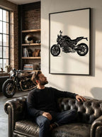 BMW F 900 R