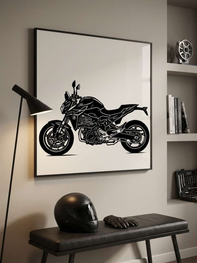 BMW F 900 R