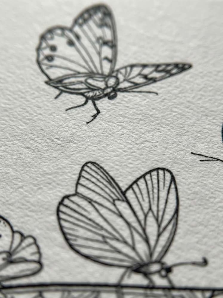 BUTTERFLY BOOK