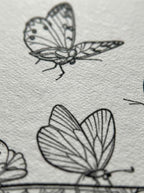 BUTTERFLY BOOK