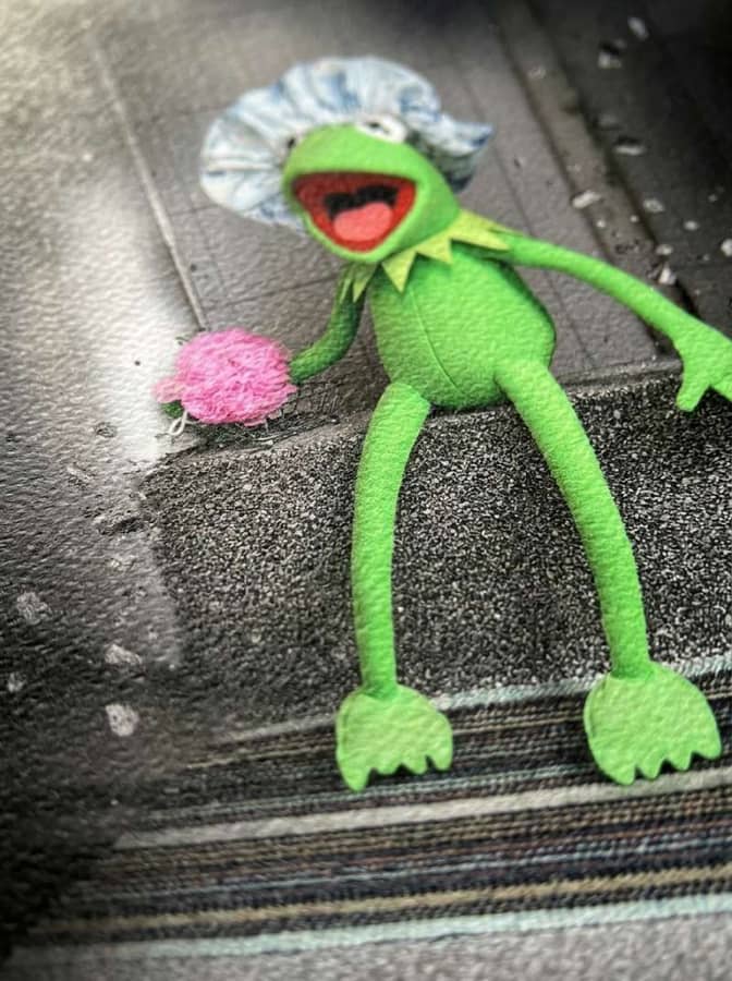 Gustavo