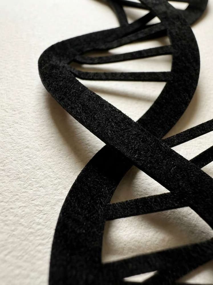 HILAURONICO