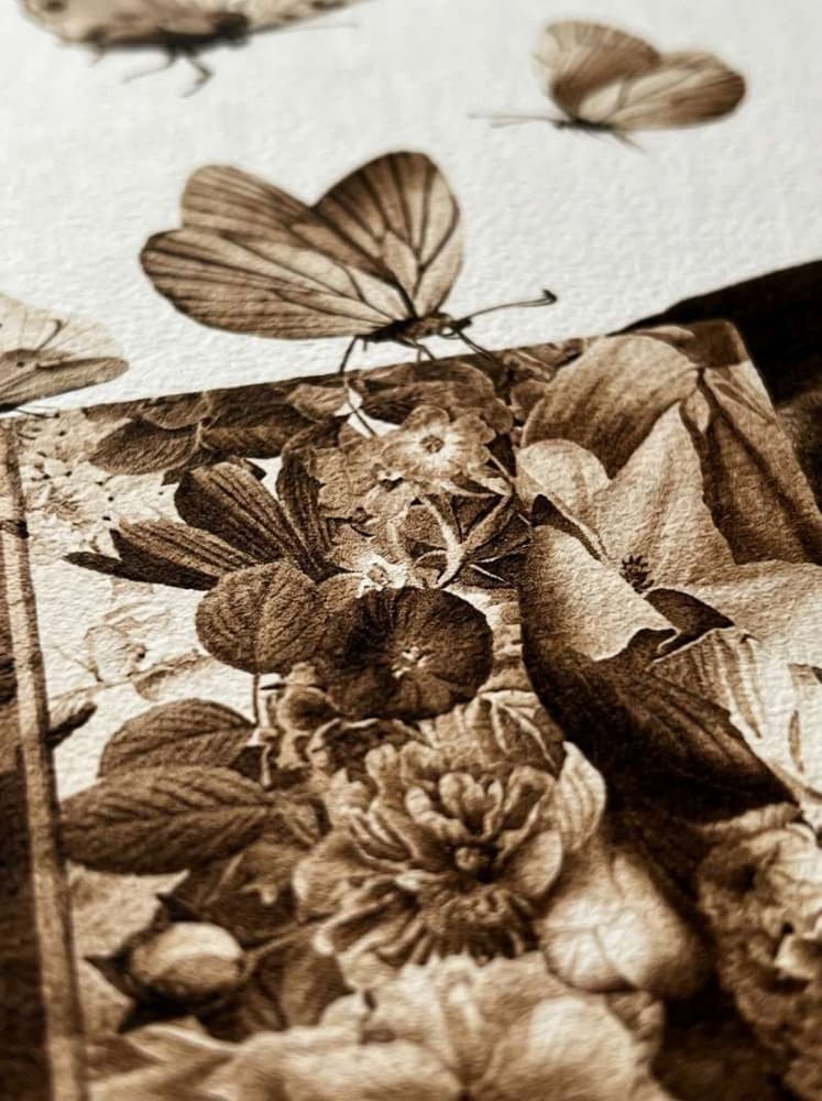 BUTTERFLY BOOK