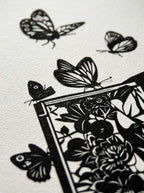 BUTTERFLY BOOK