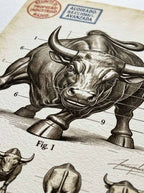 The Bull