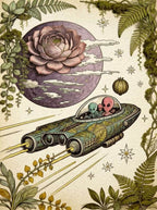 THE SPACE