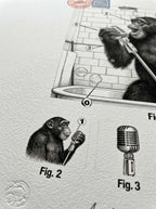 Monkey Song