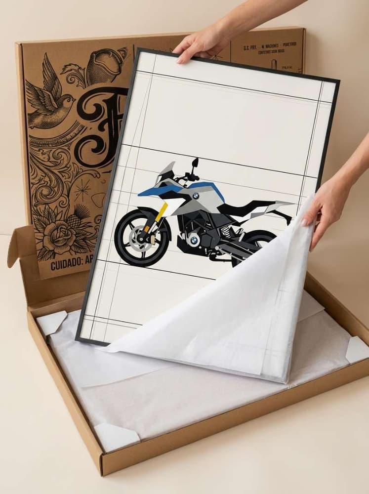 G 310 GS